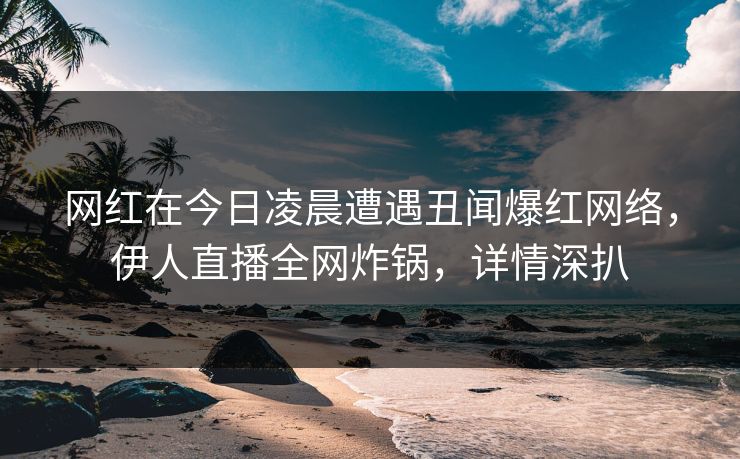 网红在今日凌晨遭遇丑闻爆红网络，伊人直播全网炸锅，详情深扒