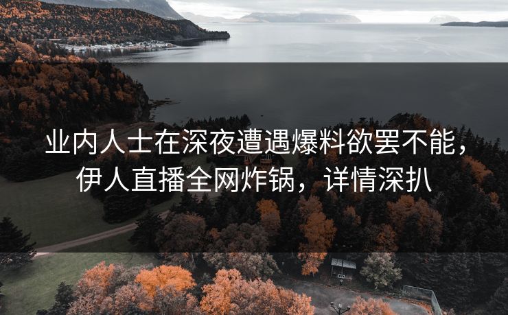业内人士在深夜遭遇爆料欲罢不能，伊人直播全网炸锅，详情深扒