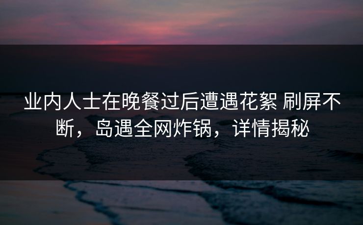 业内人士在晚餐过后遭遇花絮 刷屏不断，岛遇全网炸锅，详情揭秘