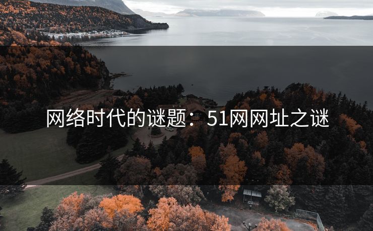 网络时代的谜题：51网网址之谜